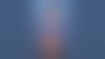 REAL Or SUS Celebrity Boob Job Edition Shorts Breastimplants 