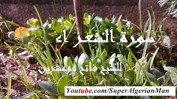 سورة الشعراء برواية ورش عن نافع للشيخ فاتح بو عشرين