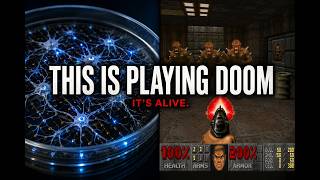 They Built a Brain Out of Human Cells. It Plays DOOM!