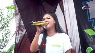 VINA MEINA - DATANG UNTUK PERGI (Live Cover GNS Music)