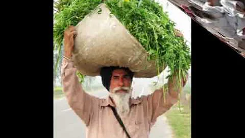 kive jeon ge loki । Sukhnaib Sidhu ।Punjabi news online