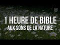 1 heure de bible aux sons de la nature biblevision