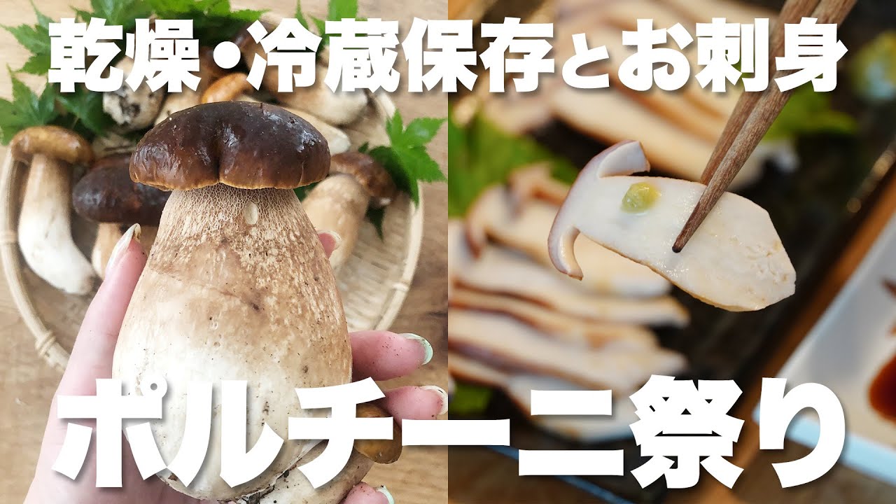 2022.7.27 【ポルチーニ祭り】何本採れた？ヤマドリタケモドキの保存