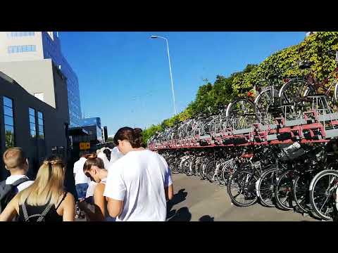 Chaos in station Eindhoven door omreizen naar Boxtel op 13-08-2022 (Deel 1)