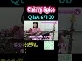 #shorts #ミュージシャン #あるある #CherrySpice【Cherry Spice Q&A 6/100】 🍒 Haruka with Cherry Spice4