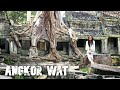 MUST VISIT Amazing Angkor Wat Temples | Siem Reap, CAMBODIA