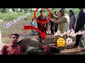 Qurbani ka janwar zibha aqib ali vlogs no 7