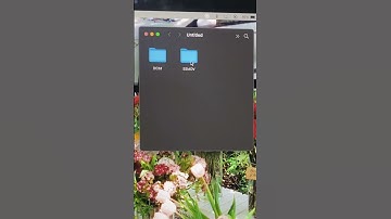 I found my dad’s 2000 camcorder🥹 #digicam #camcorder #videocamera #y2k #minivlog #vlog #photography