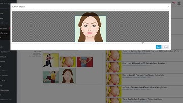 TheOptimizer Native - Bulk Campaigns Creation