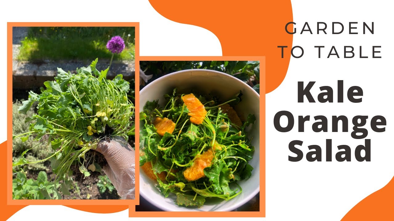 Garden to Table   KALE & ORANGE SALAD with Almond Butter Dressing   Vegan Cook #WithMe