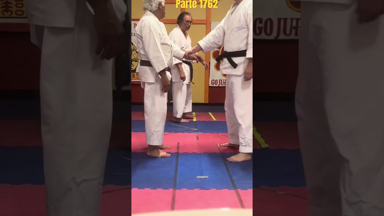 (1762)Clase de karate Goju Ryu Taishio Kai. Oprime el enlace para ver el video completo.