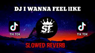 DJ I  WANNA FEEL LIKE (slowed reverb) ENAKEUN BY SOPAN YETE