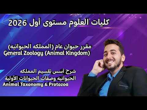 شرح تقسيم المملكه الحيوانيه و الحيوانات الأوليه   