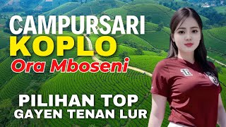 Download Lagu CAMPURSARI DANGDUT JAWA KOPLO TERBAIK PILIHAN ORA MBOSENI GAYENG TENAN LUR MP3 Download Lagu CAMPURSARI DANGDUT JAWA KOPLO TERBAIK PILIHAN ORA MBOSENI GAYENG TENAN LUR MP3