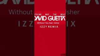 David Guetta - Without You ft. usher ( IZZY Remix ) #progressivehousemusic #undergroundmusic