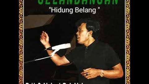 Elvy Sukaesih _ Hidung Belang ( OM Soneta Album Gelandangan ( 1975 )