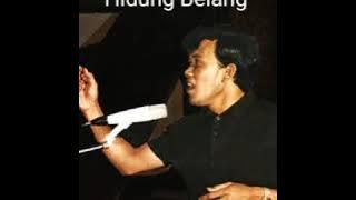 Elvy Sukaesih _ Hidung Belang ( OM Soneta Album Gelandangan ( 1975 )