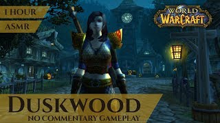 WoW Classic Duskwood - Gameplay, No Commentary, ASMR (1 hour, 4K, World of Warcraft Vanilla)