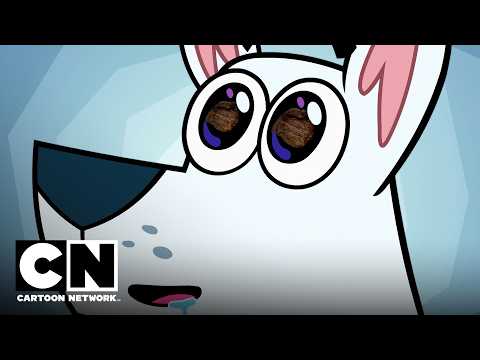 Krypto to the Rescue! His Best Moments 🐾 Teen Titans Go! | Cartoon Network