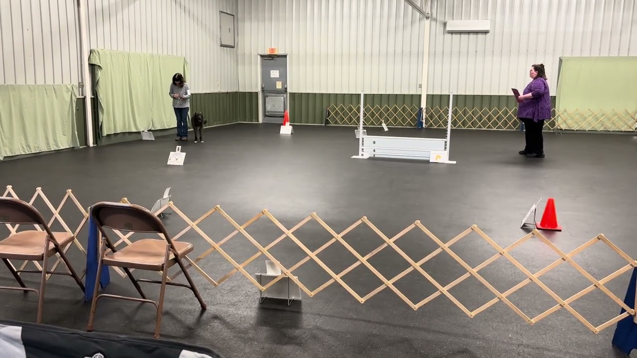 Stella Rally Toledo Kennel Club PM Show 2/28/2026