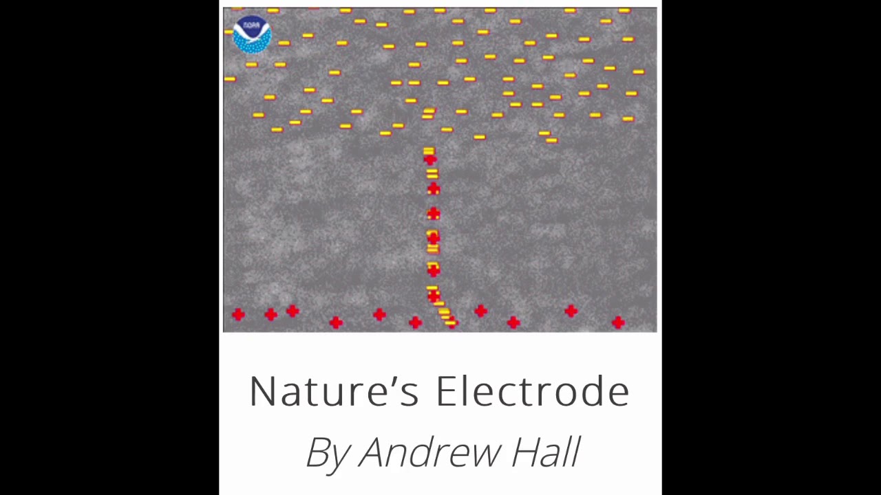 Nature’s Electrode by Andrew Hall YouTube
