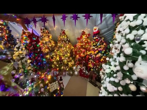 German Man Decorates Home With 555 Christmas Trees