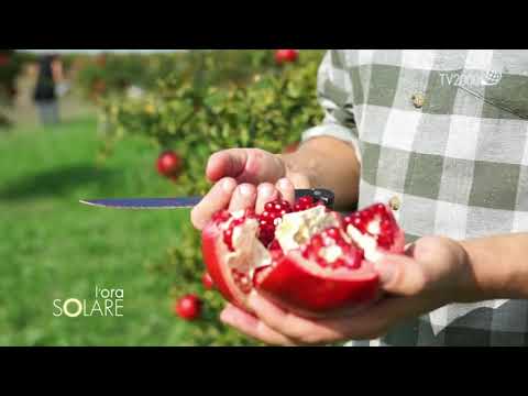 Intervista Giuseppe Savino a Tv2000, www.rural-box.it - Cascina Savino