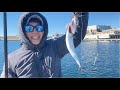 Mackerel fishing in Gloucester, MA (11/26, 2022)