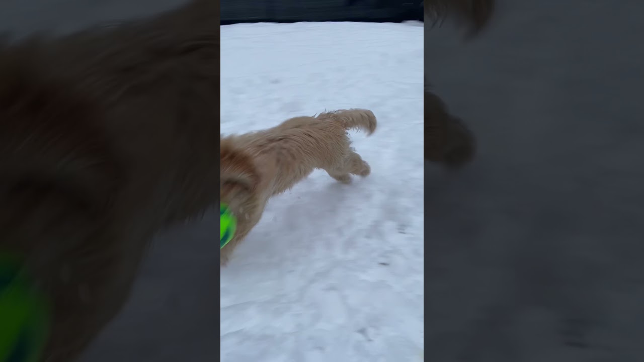 Nova Doodle Soccer Play Xmas 2021