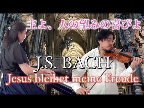 【Bach】「主よ人の望みの喜びを」をヴァイオリン(バイオリン)とピアノで弾いてみた & シュテファン大聖堂紹介!Jesus bleibet meine Freude Violin & Piano