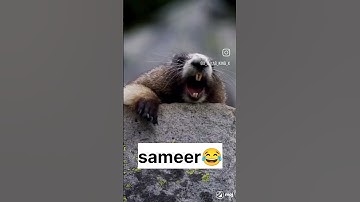 Sameer name comedy status