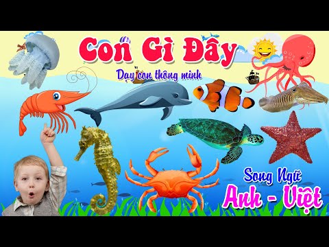 Video Con Gì Đây - Dạy Bé Đọc Tên Các Con Vật - Động Vật... - youtube