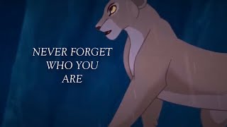 Never Forget Who You Are (THE LION KING AU) PART 2 (ENDING)