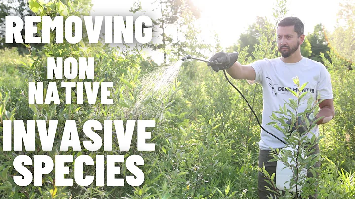 Removing Non-Native Invasive Species