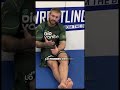 Consejos de Gordon Ryan  a cintas blancas y azules #gordonryan #bjj #consejoscintablanca #jiujitsu