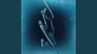 ジュゴン - Dugong - OHTORA