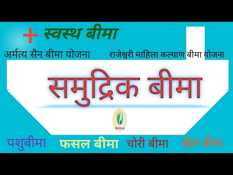 वीडियो: समुद्री बीमा अर्थ में?