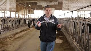 3 Tips for making Barn Curtains last.   Livestock Freestall Barn Ventilation curtains