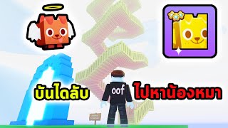 บันไดแห่งความลับ ขึ้นไปหาน้องหมาทองคำบนสวรรค์ Roblox Pet Simulator 99