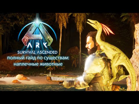 Видео: Полный гайд по наплечным животным в ARK: Survival Ascended