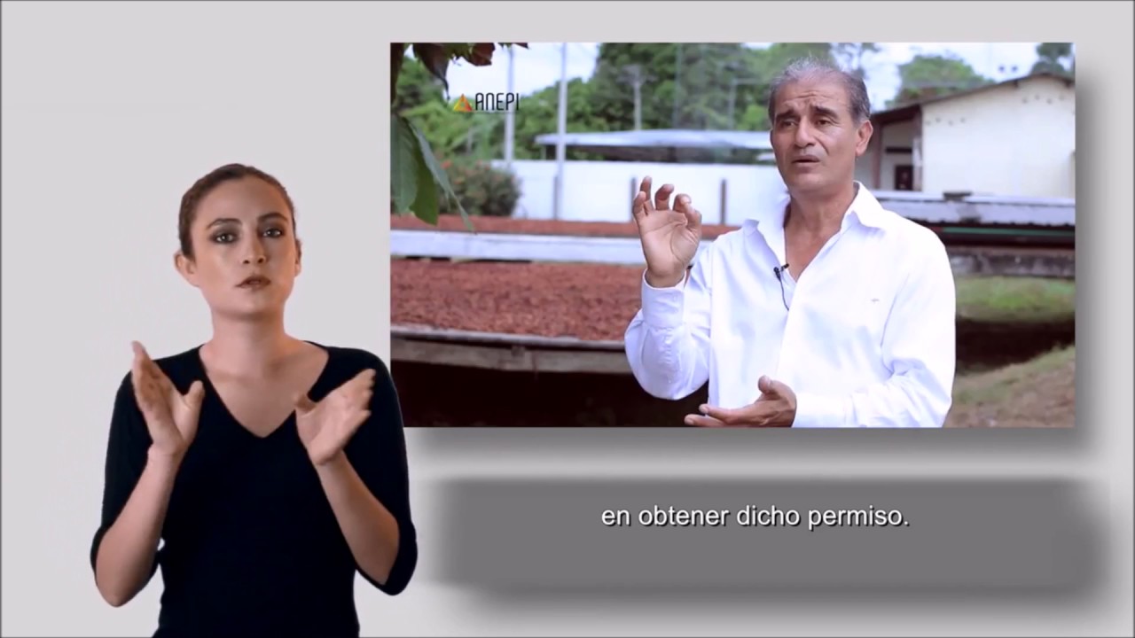 Cacao Arriba Inclusivo