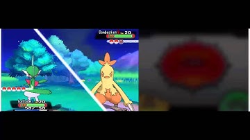 Battle with may on route 110