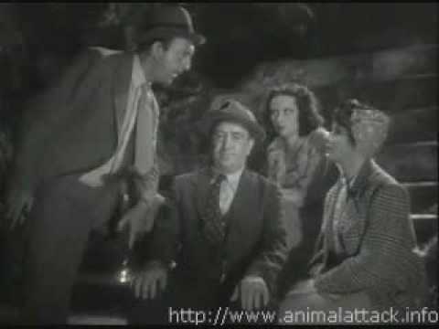 Movie Stills From Sh! The Octopus (1937) - YouTube