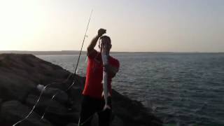 VID 20150512 WA0001