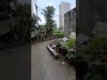 bán đất lô góc 48m2 Cổ Linh oto vào đất