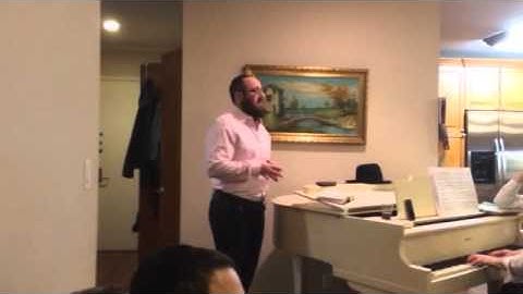 Eilu Devorim / Hershman performed by Mendel Wolowik