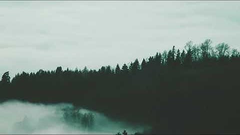 تلاوة عطره جميلة بقمة العذوبه لاتوصف أرح بها بالك ومسامعك