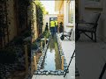 Home garden clean or Decoration