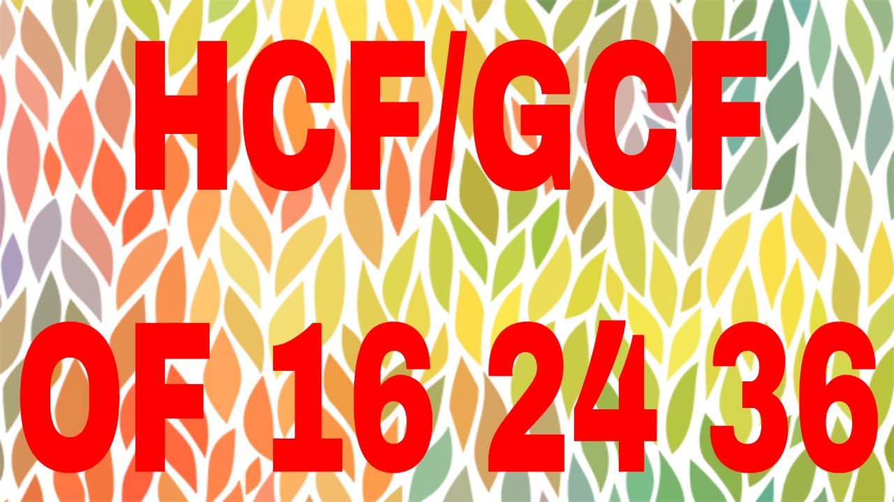 HCF Of 16 24 36 GCF Of 16 24 36 YouTube hcf-of-16-24-36-gcf-of-16-24-36-youtube