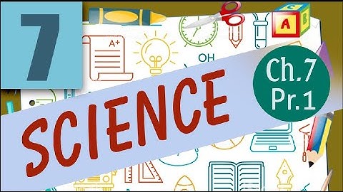 class 4 science chapter 7 part 1